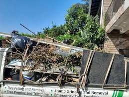 Best Electronics and E-Waste Disposal  in Scenic, AZ